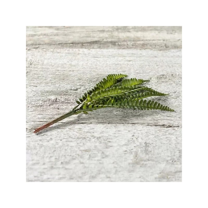 PBK NEW!~Floral Fern Pick/Spray~Use in wreath/garland & all home decor~Flower