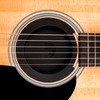 D'Addario Screeching Halt Acoustic Guitar Soundhole Cover - Acoustic Guitar