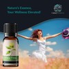 Calmer Solutions Ylang ylang III 100% Essential Aromatherapy Oil 10ml