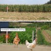 Animal Repellent USB Interface Charging Energy Saving Solar Powered Animal