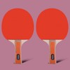 Runwave LW-0321 Table Tennis Racket and Ball Set, Shakehand Double-Sided Paddle 0321 Table Tennis Racket Set 2ea
