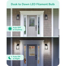 EDISHINE Dusk to Dawn LED Light Bulbs, 8W Equivalent 60W, Vintage Styled ST64 Edison Bulbs 60 Watt LED, 700LM Extra Bright 5000K Daylight White for Outdoor Wall Sconce, E26 Base, 6 Pack, UL Listed