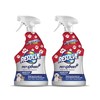 Resolve Pet Expert Carpet Spot & Stain Remover Spray, Pet