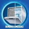 Finish Dual Action Dishwasher Cleaner: Fight Grease & Limescale, Fresh