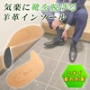 [ペダック] 国内正規品 インソール 中敷き クッション 衝撃吸収 脱臭 吸湿 通気性 軽量