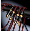 Primeda Auidophile 2RCA Male to 2RCA Male Stereo Audio Cable,Gold