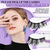 B&Q P02 False Eyelashes, Cat Eye Eyelash Extensions, Fluffy Cluster