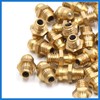 VekAuto 30Pcs M6 x 1 Thread Brass Straight Grease Zerk