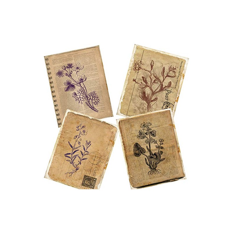 Botanical Journal Paper Pack - EZ Journal 7028