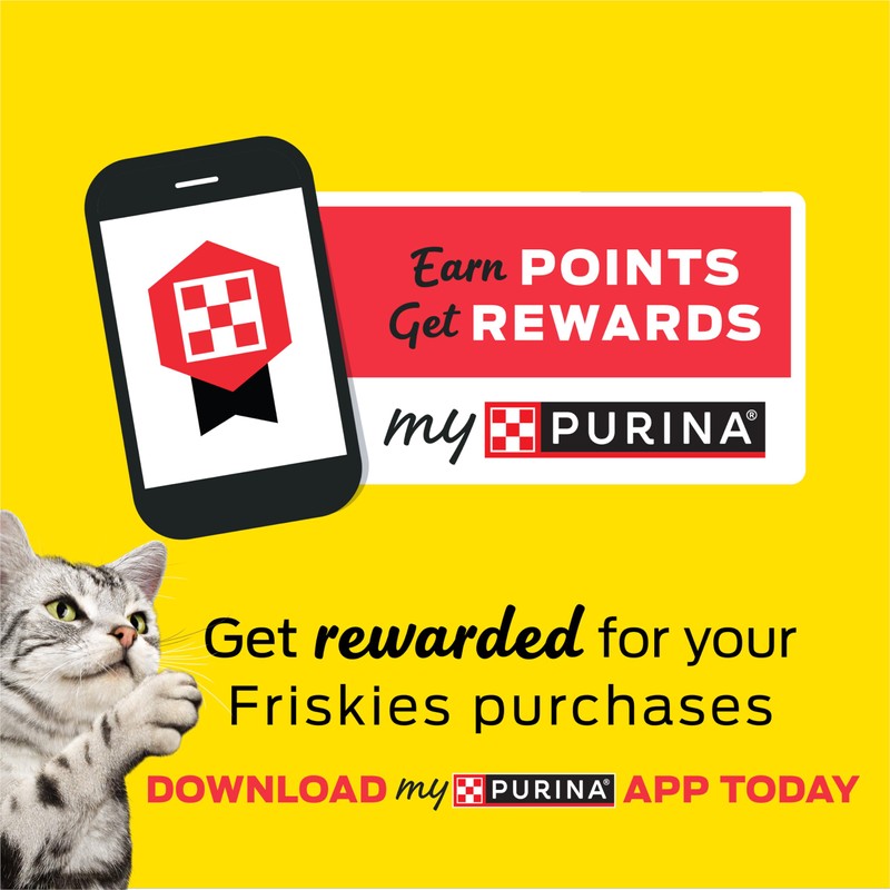 Purina Friskies Shreds With Salmon in Sauce Wet Cat Food