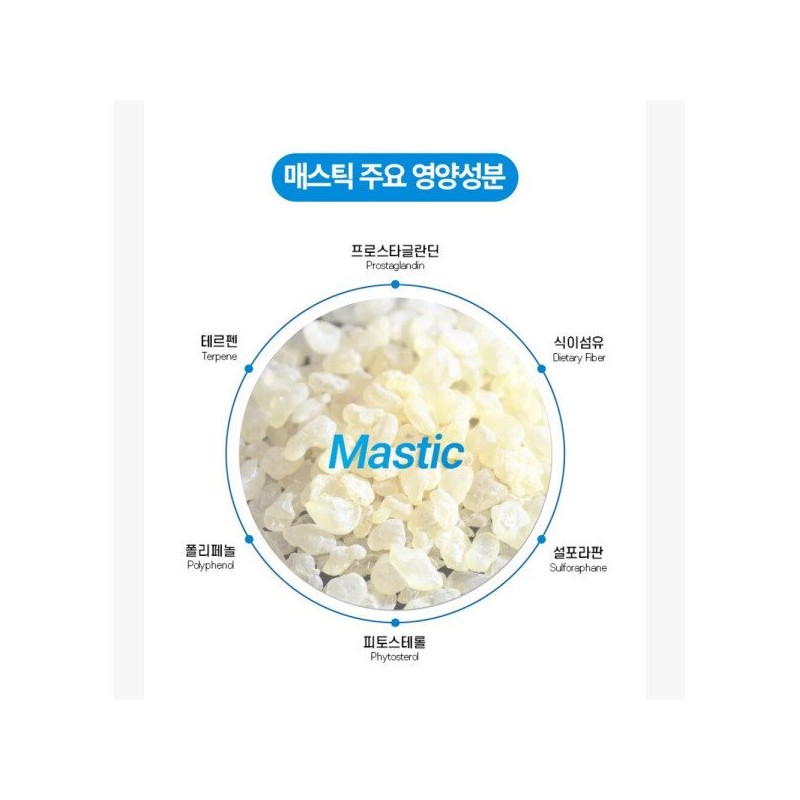퓨어 매스틱 유산균 포자유산균 프로바이오틱스 장건강 메스틱 매스틱검 위건강에좋은 유산균