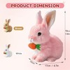 Bunny Toy , Bunny Pal hopping bunny toy Pet Plush,Life