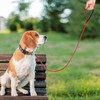 PUPTECK Reflective Dog Leash with Comfortable Padded Handle Durable Nylon