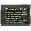 Preserved Pole Moss Pillow Moss Bun Moss Cushion Moss Natural