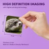 1 x Square MDF Fridge Magnet - Hedgehog Garden Wildlife