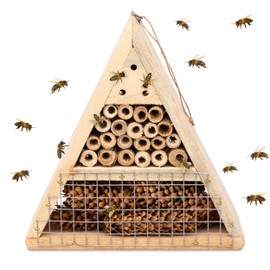 Mason Bee House - Handmade USA Natural Elderberry Bee Hotel - Bee Hive Attracts Peaceful Bee Pollinators to Enhance Garden Productivity