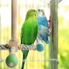 Bird Perch Toy, Bird Perches for Cages, Parrot 360° Interactive