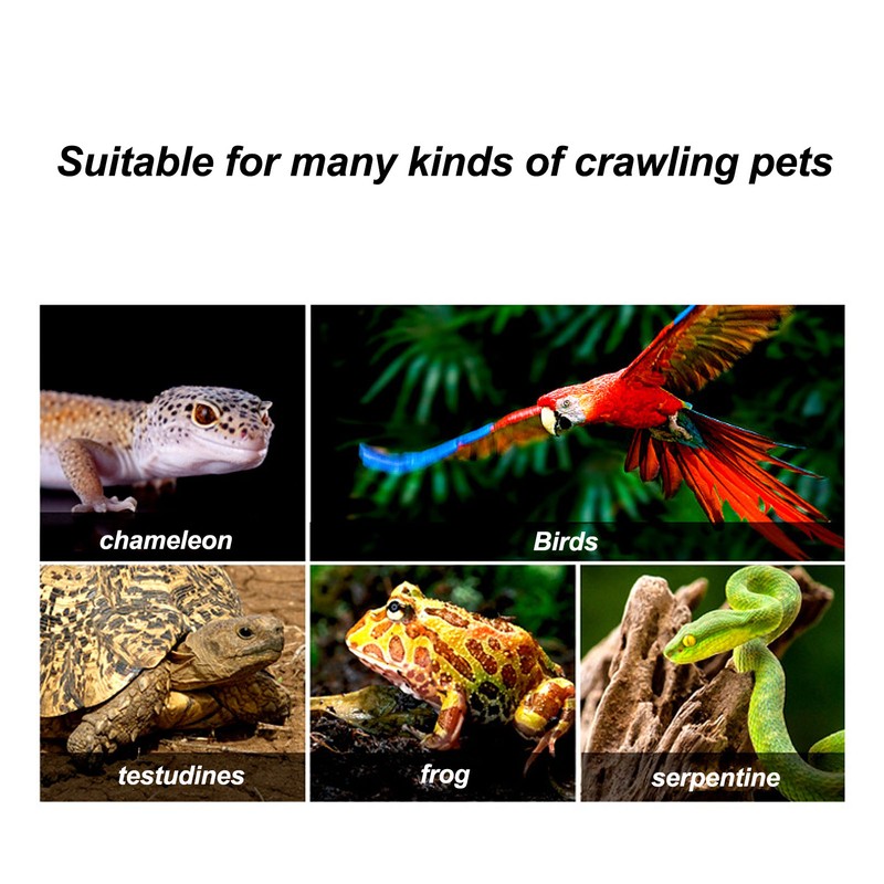 Reptile Heat Lamp Guard Protection Iron Anti Scald Reptile Lampshades