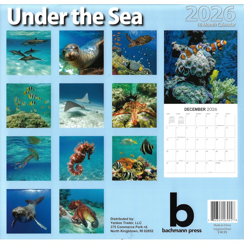2026 Under the Sea Full Size Wall Calendar for Planning,