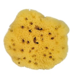 Croll & Denecke Naturschwamm, Natur, ca. 8 cm