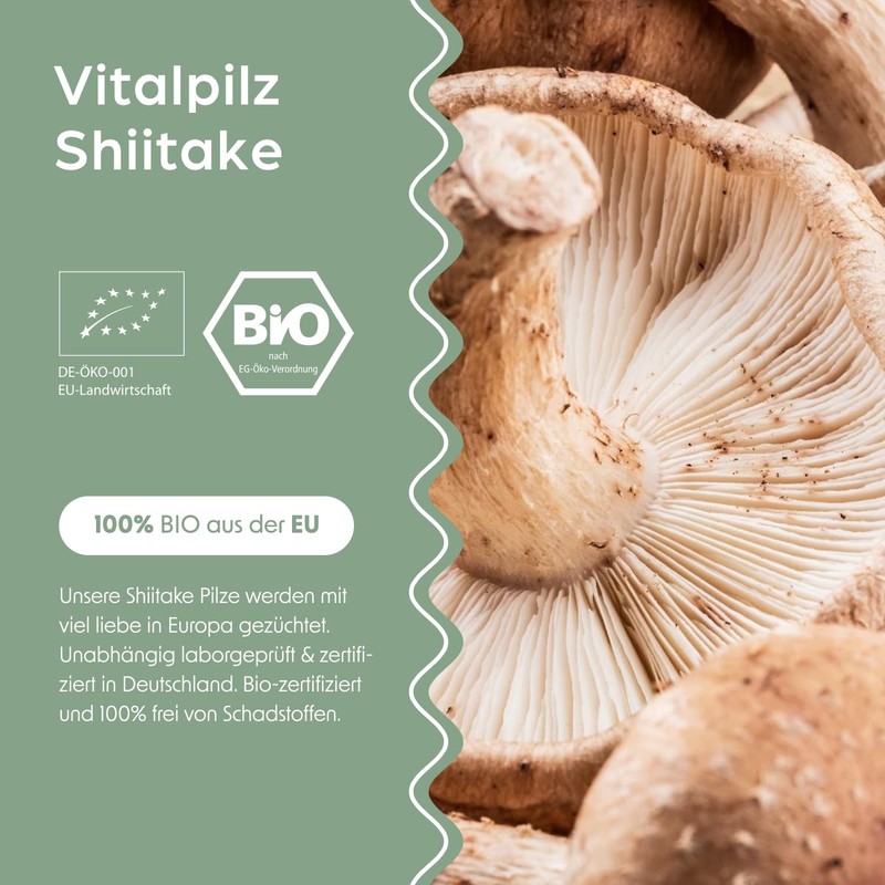 smaints Organic Shiitake Dual Extract Capsules - 100% Organic Cultivation