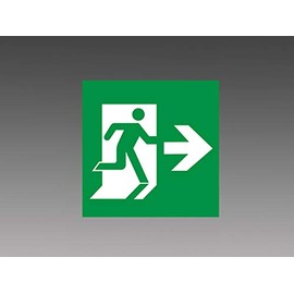 Mitsubishi Electric S2-1091AR Induction Light (Display Plate), Class C, Main Unit Sold Separately (S21091AR) (S2-1081AR)