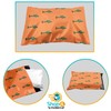 Shop4Mailers 10 x 13 Glossy Orange Cactus Decorative Plastic Poly