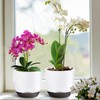 QCQHDU 2 Pack Orchid Pots with Holes for Repotting, Double-Layer