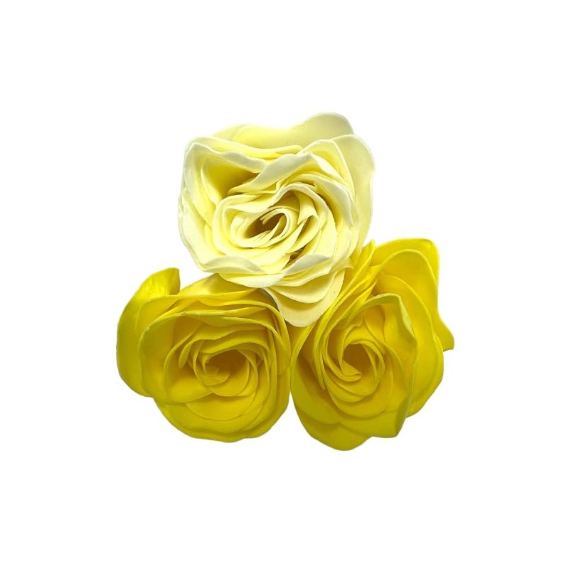Bloomn Rose Bath Petals Shiny Rose