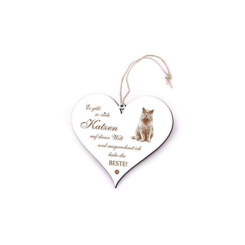 Door Sign with German Text "Es gibt so viele Katzen