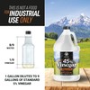 Calyptus 45% Pure Super Concentrated Vinegar | Dilutes to 36