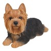 Hi-Line Gift Ltd Yorkshire Terrier Resin Dog Lying Down Statue