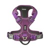 DOG Copenhagen Comfort Walk Pro Dog Harness, Purple Passion, XS