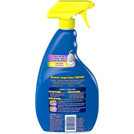 OxiClean Carpet Stain Remover - 24oz