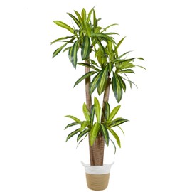 Warmplants Artificial Dracaena Tree, 6ft Tall Fake Dracaena Plant with Basket, Indoor Outdoor Faux Topiary Yucca Trees for Office Home Living Room Porch Patio Décor