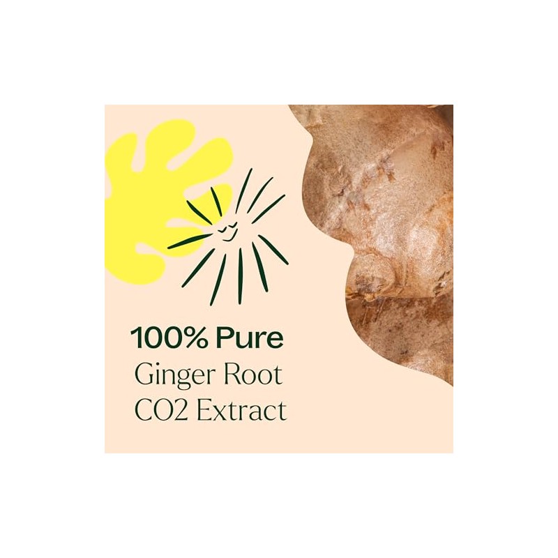 Plant Therapy Aceite Esencial De Jengibre 10ml