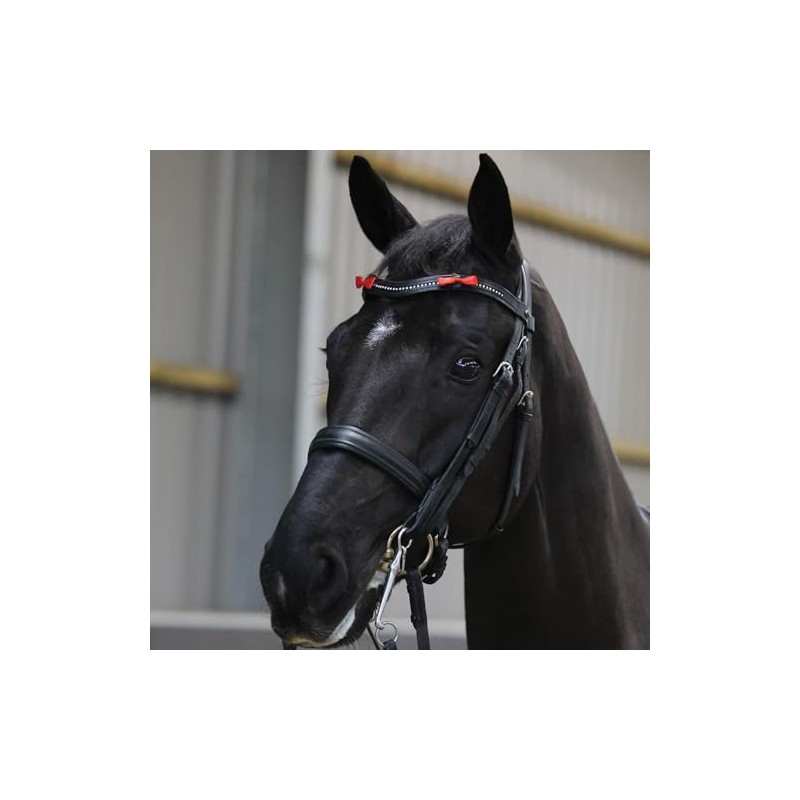 Equetech Red Horse Bridle Warning Ribbons, Set of 4, Competition