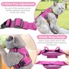 Cat Harness and Lead Set, Adjustable Kitten Harness and Lead