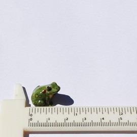 SSJSHOP Green Frog Micro Tiny Dollhouse Figurines Ceramic Hand Painted Animals Collectible Small Gift Home Garden Decor #3