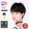 Priscilla A-676 All Wig, Natural Short, Heat Resistant, TBK/Black