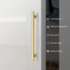KNOKLOCK 10 Pack 10 Inch(254mm) Kitchen Cabinet Handles Brushed Gold