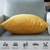 Topfinel Set of 2 Plain Cushion Covers, Decorative Chenille Cushion