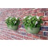 elho Vibia Campana Wall Basket 35 - Planter for Balcony