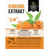 Turmeric Extract, 95% Curcuminoids, 100 g Powder, Organic Extract Powder,