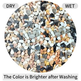 FANTIAN 2 lbs Succulent and Cactus Pebbles Gravel, 3/8 Inch Mixed Color Decorative River Rocks for Plants Indoor, Vases, Terrarium, Potted Top Dressing and Outdoor Decorative Stones