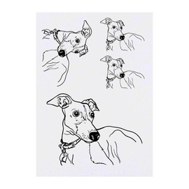 4 x 'Italian Greyhound Dog' Temporary Tattoos - Water Resistant, Skin-Safe, Non-Toxic Transfers, Mixed Sizes (TO00011040)
