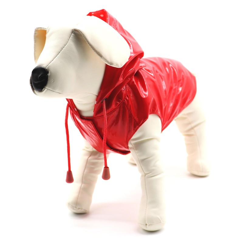 Cross C7274475 Raindrop Cherry Waterproof, 20 cm