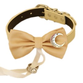Champagne Dog Bow Tie ring bearer, Pet Wedding, Proposal, Dog collar, Charm, I love you to the moon and back