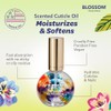 (Kiwi 1 fl.oz) - BLOSSOM SCENTED CUTICLE OIL KIWI 25ml