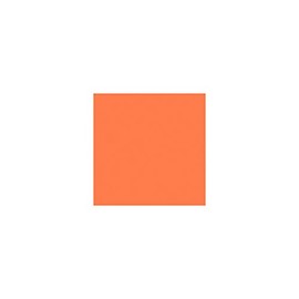 Rosco Roscolux Mayan Sun, 20x24" Color Effects Lighting Filter